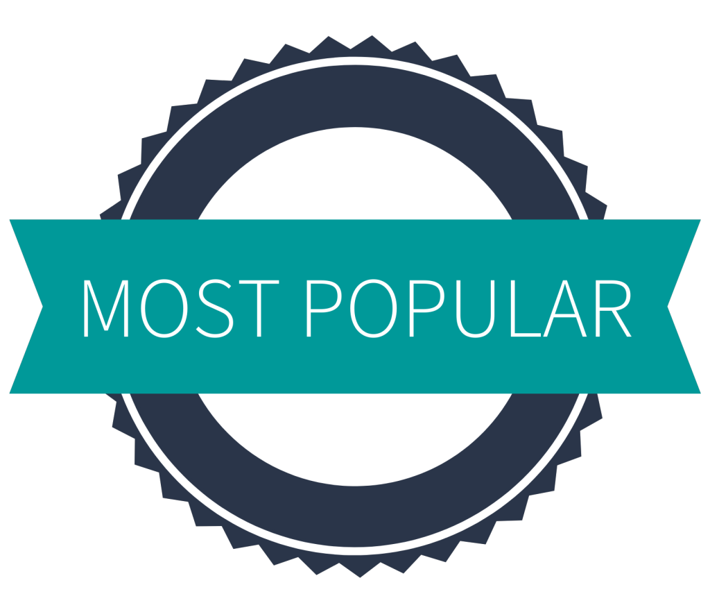 most popular icon